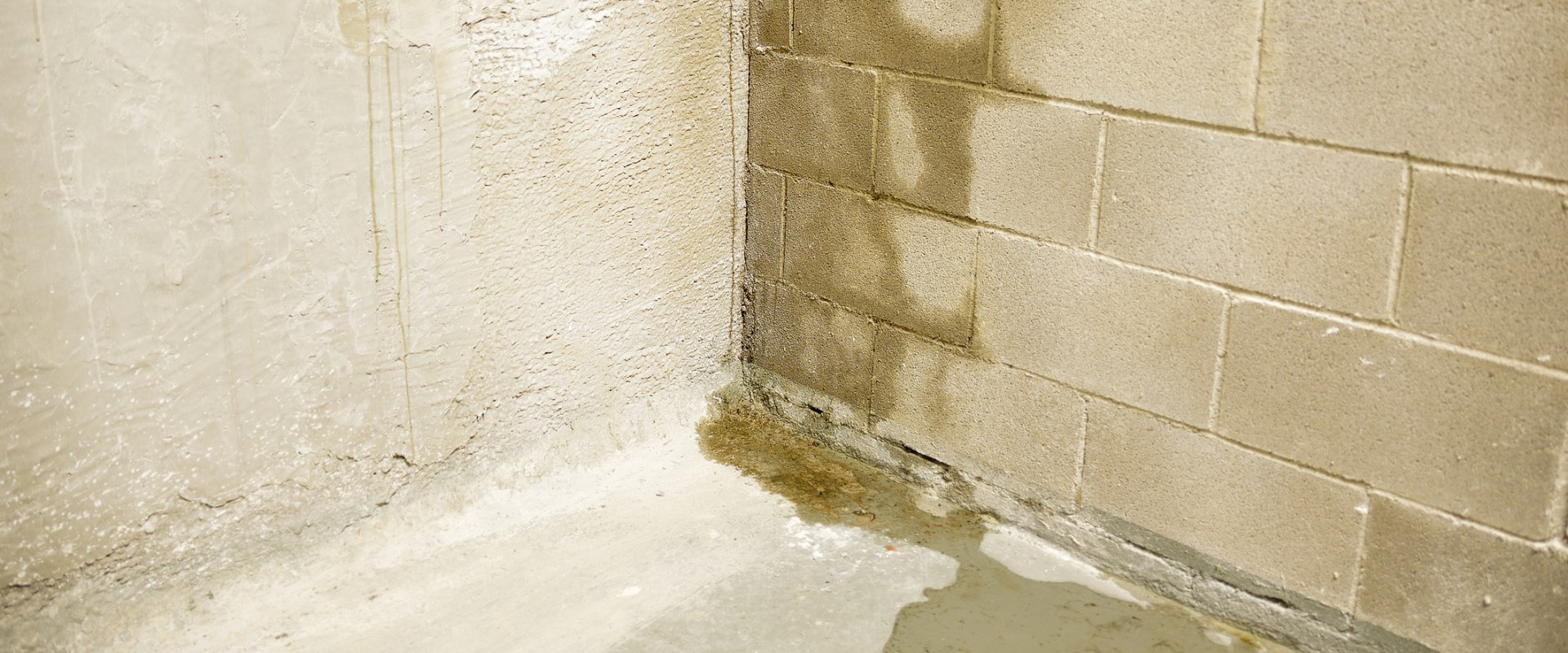 Waterproofing Basements: What to Know Before Hiring a Contractor