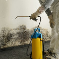 How to Clean Up Mold and Mildew After a Flood in NJ