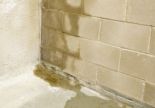 Waterproofing Basements: What to Know Before Hiring a Contractor