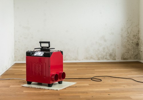 How to Dry Out a Wet Basement with a Dehumidifier